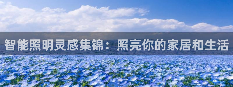云顶dl