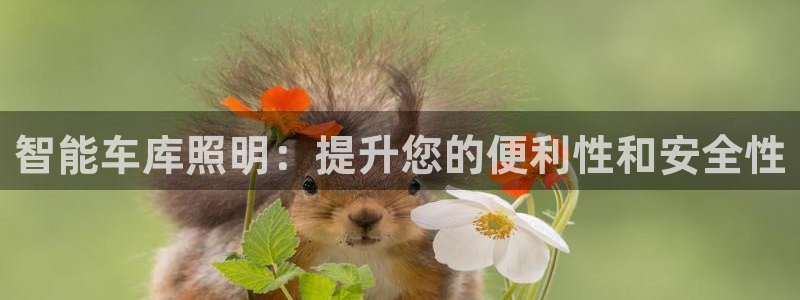 云顶国际是个什么平台