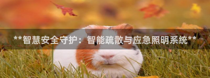云顶国际物流官网网址