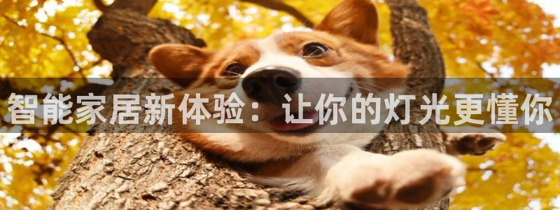 云顶国际创始人是谁