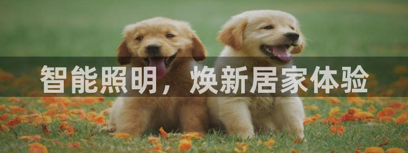 云顶国际滑雪场