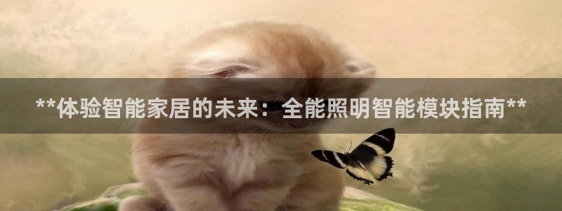 云顶国际体育
