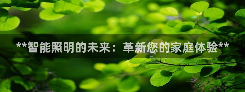云顶国际服自定义
