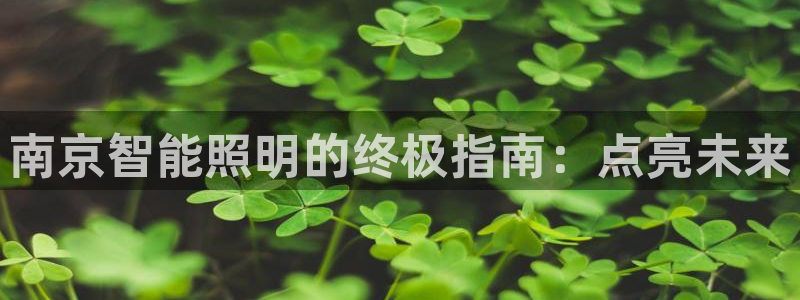 云顶国际电话号码查询