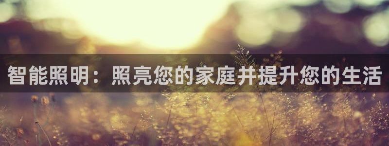 云顶国际物流