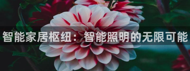 云顶国际酒店电话