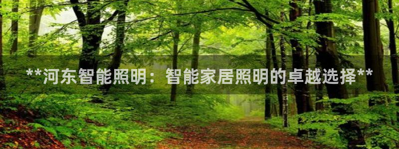 云顶国际地址