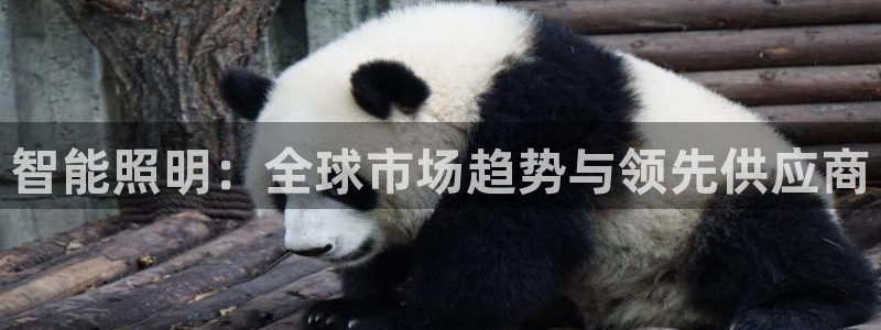 云顶线路检测 官方网站