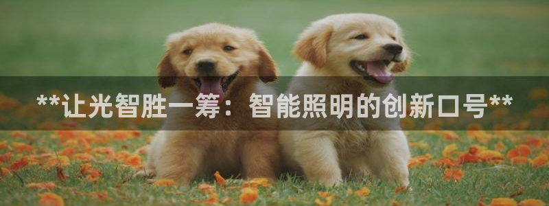云顶国际注册送38