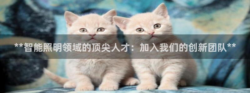 云顶国际服什么时候更新s90
