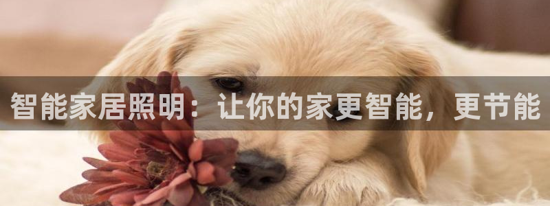 云顶国际广场A座