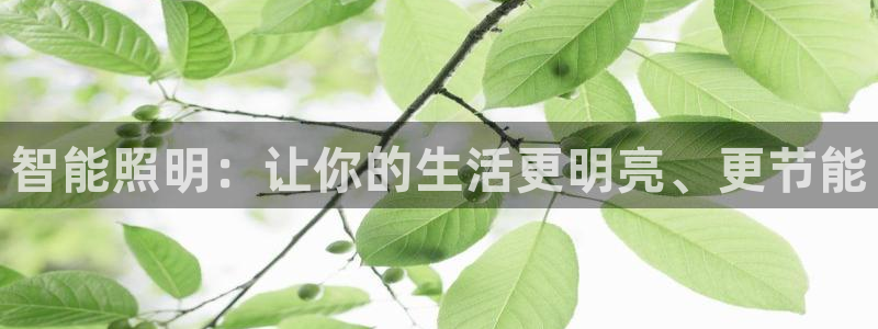 云顶国际nba今日推荐