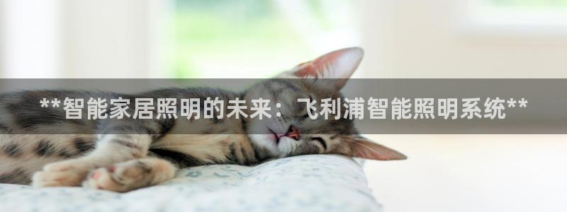 云顶集团在哪