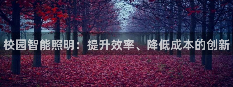 云顶国际酒店怎么样