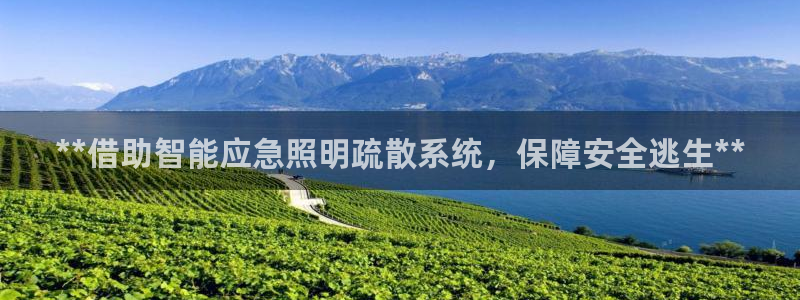 云顶国际服s10什么时候更新