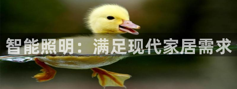 云顶国际网站怎么进不去了
