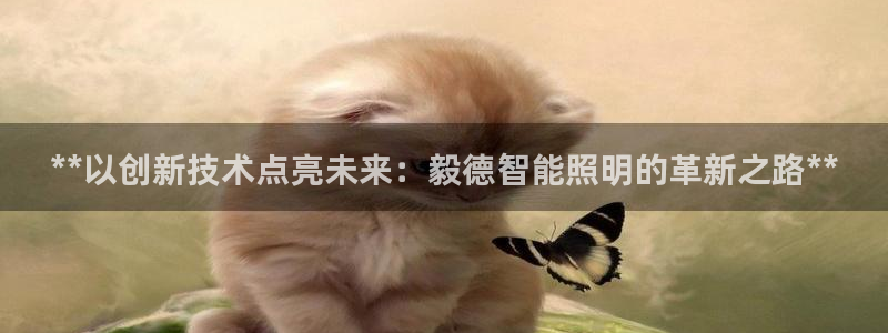 云顶国际商业广场 荣耀