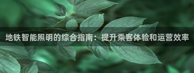 云顶国际服如何调中文