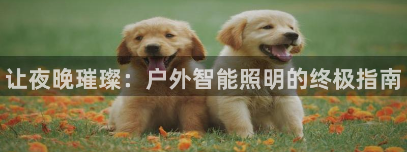 云顶国际网站进不去了