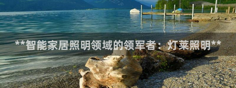 云顶集团介绍