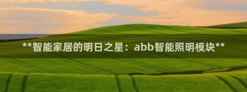 云顶集团简介概况