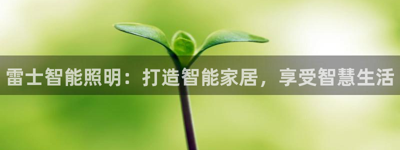云顶集团网站app下载安装