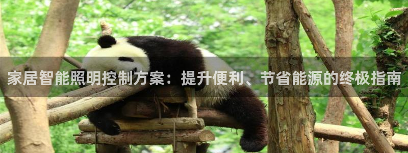 云顶国际公馆是公寓吗