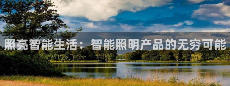 云顶集团 中国排名第几