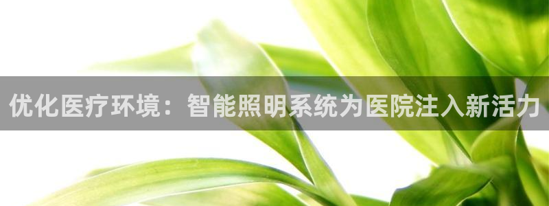 云顶国际二手房价格