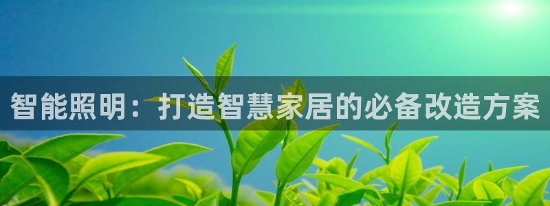 云顶s6国际服