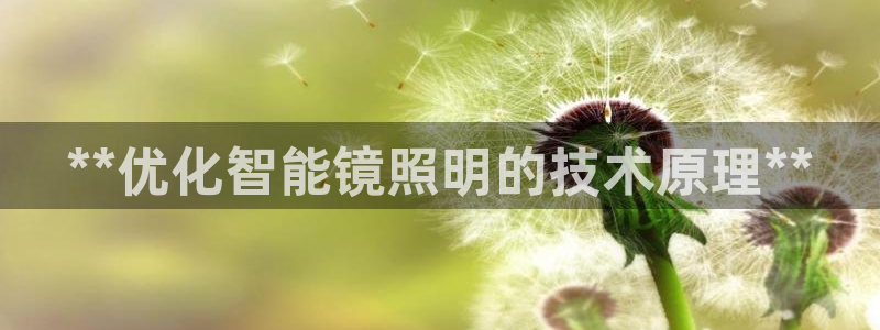 云顶网上官网