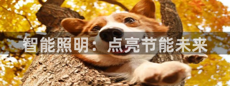 云顶国际服s6