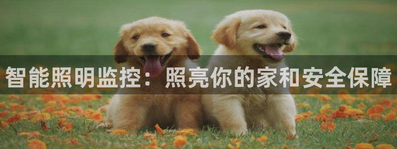 云顶集团app推荐agla