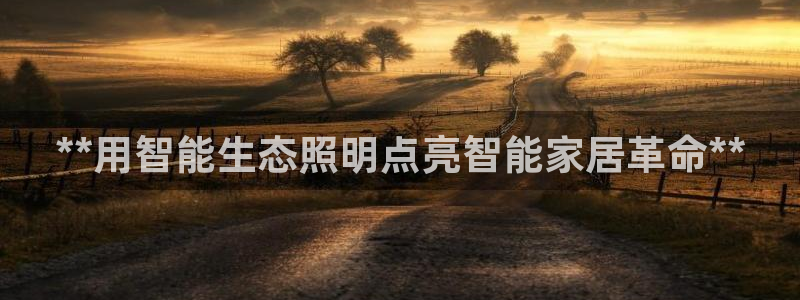 云顶集团网投领跑者