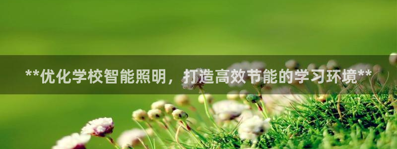 云顶集团有限公司简介地址