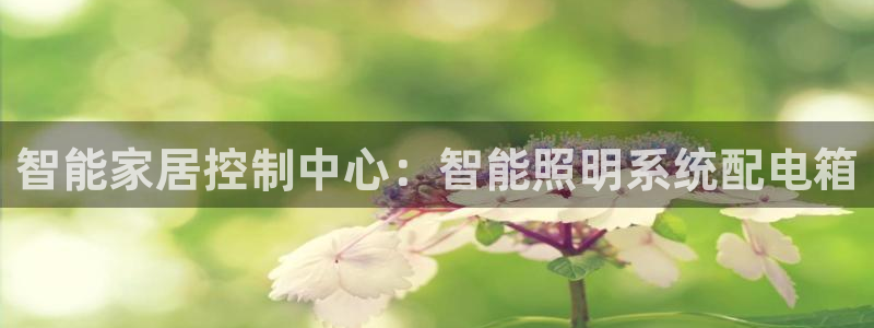 云顶集团app免费下载安装