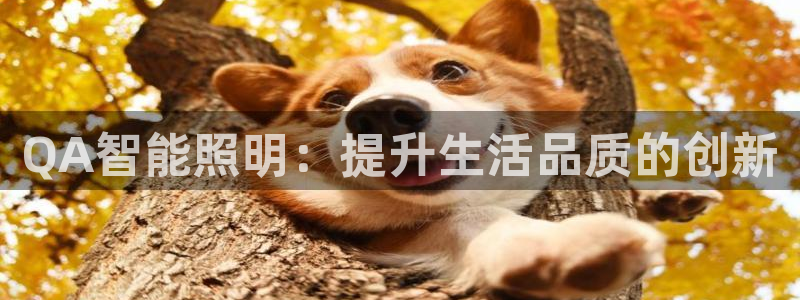 云顶国际服服务端错误
