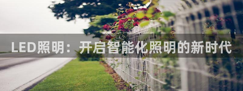 云顶集团专属APP