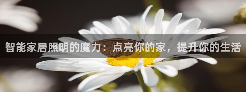 云顶国际官网下载安装