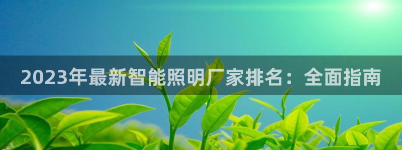 云顶国际中学