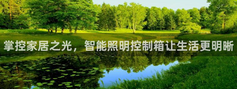 云顶小学国际班学费