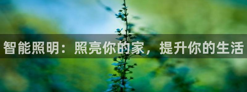 云顶国际服什么时候更新s9