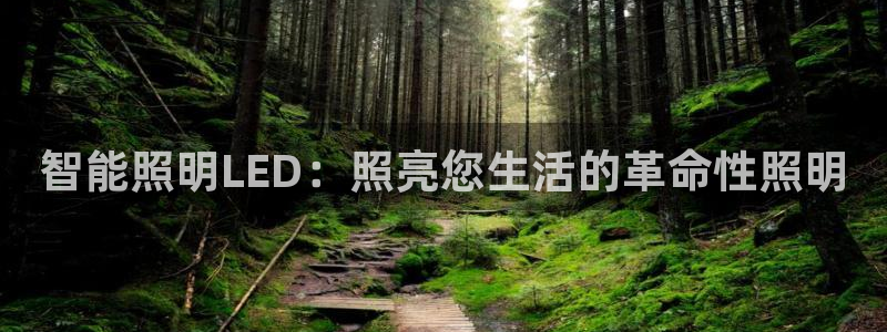 云顶国际商业广场怎么样
