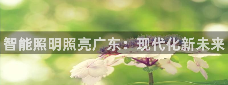 云顶国际大酒店是几星级