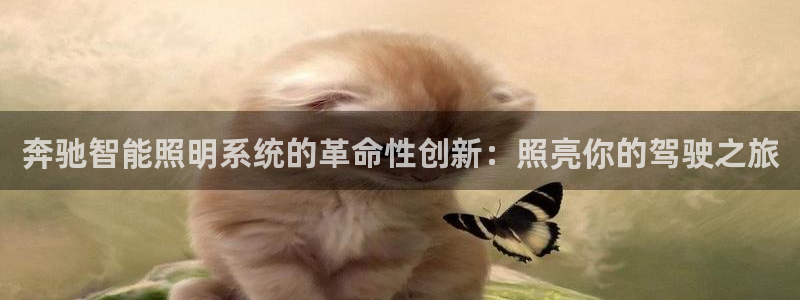 云顶集团有限公司简介图片