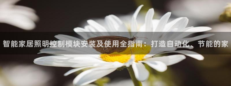 云顶国际服什么时候更新s119