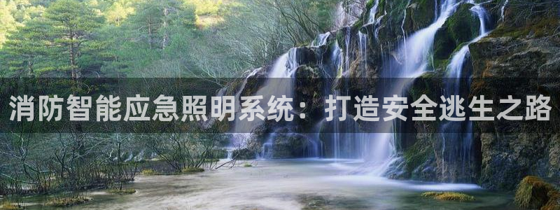 云顶国际大酒店老板