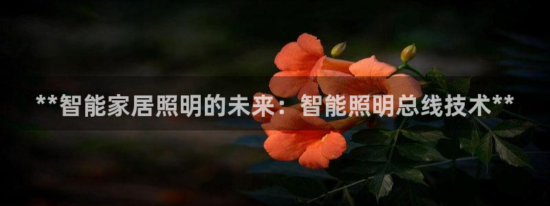 云顶游戏网站