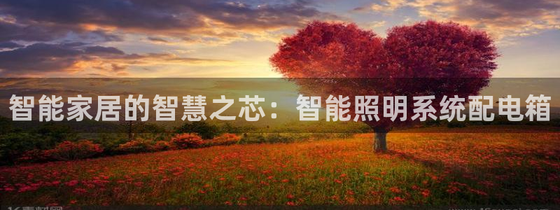 云顶国际晟荣协会高峰