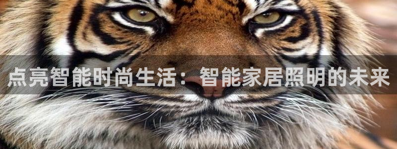 2322云顶